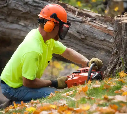 tree services Norwalk